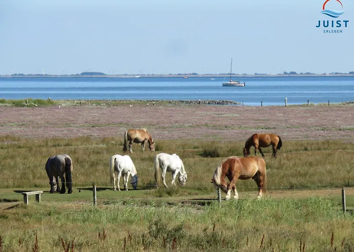 Haus Petra 134 - 4 *